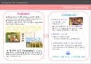 Everland VS Lotteworld (에버랜드 VS 롯데월드) 9페이지