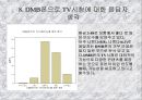 혁신제품에 대한 소비자의 수용조사 13페이지