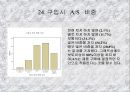 혁신제품에 대한 소비자의 수용조사 29페이지