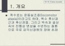 척수로(Tabes dorsalis) & 척수공동증(Syringomyelia)  3페이지