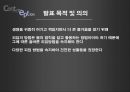 [결혼학개론] 피임의 종류와 방법  3페이지