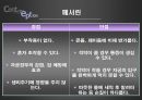 [결혼학개론] 피임의 종류와 방법  17페이지