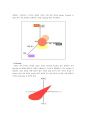 노무현 대선 마케팅 Principle of Marketing  10페이지