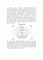 [조직변화의 유형] 조직변화의 유형구분 (유형분류의 차원, 변화주체의 의도개입 차원의 유형구분, 변화의 내용 차원의 유형구분, 2차원 평면에서의 유형구분, 조직변화유형과 조직개발론) 6페이지