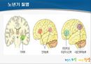 노년기 건강관리 및 운동 (노년기 건강의 중요성, 노년기 질병, 노년기의 운동, 걷기의 중요성).pptx 26페이지