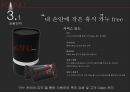 카누(KANU) 기업분석 및 신제품 출시 계획과 IMC전략 10페이지