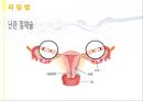피임 A+ 프레젠테이션 PPT (슬라이드별 대사 포함, 유의물 인쇄본 포함) 21페이지