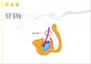 피임 A+ 프레젠테이션 PPT (슬라이드별 대사 포함, 유의물 인쇄본 포함) 22페이지