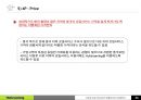 휴대폰 임대로밍 사업 시장 진출을 위한 사업계획서 46페이지