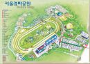 [관광축제론] 서울 경마장의 현황과 미국 델마경마장과의 비교 분석을 통한 발전방향 10페이지