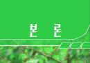 [관광축제론] 보성녹차 대축제에 대한 분석 12페이지