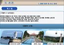 [관광학] 허니문 크루즈 8페이지