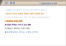 [관광학] 허니문 크루즈 17페이지