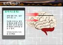 [심리학] 심리학행정조직이론 5페이지