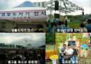 [관광축제론] 성주참외축제 31페이지