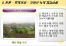 [관광축제론] 성주참외축제 43페이지