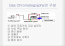 가스크로마토그래피의 응용와 원리 5페이지