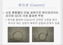 가스크로마토그래피의 응용와 원리 10페이지