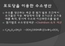 수소자동차와 수소에너지 14페이지