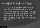 수소자동차와 수소에너지 15페이지
