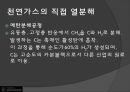 수소자동차와 수소에너지 19페이지