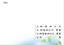 태양에너지의 원리와 앞으로의 방향 2페이지
