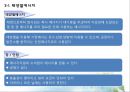 태양에너지의 원리와 앞으로의 방향 11페이지