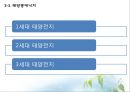 태양에너지의 원리와 앞으로의 방향 13페이지