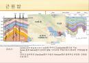 에너지 자원공학 - 이라크 중앙 아라비안 분지[Central Arabian Province] 21페이지