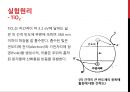 화학공학 실험 - TiO2의 광촉매에 의한 분자의 분해 8페이지