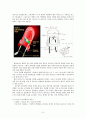 디스플레이장치 - CRT, LCD, PDP, LED와 그 밖의 차세대 디스플레이 9페이지
