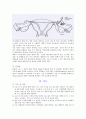 간호학 케이스 스터디 -난소종양(ovarian tumors) 13페이지