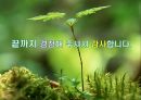 대관령 관광특구의 문제점과 활성화 방안 PPT자료자료 21페이지