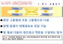 네트워크 구성 (네트워크 구성, 근거리 통신망, 네트워크 토폴로지, LAN 토폴로지, 통신망 전송 매체, 광역통신망, ISDN, ATM).pptx 19페이지