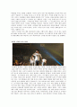 아이돌(Idol)에 관해서 (아이돌 환경, 기획사, 팬들의 문화, 사생팬, 대형기획사 독식, 공인, 성매매, 사생활 침해) 10페이지