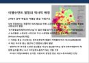 세계 제1의 기술력 독일 중소기업의 성공전략 및 사례분석 [독일중소기업의 명칭 미텔슈탄트(Mittelstand)].PPT자료 9페이지