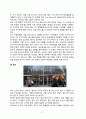 AOL과 Time warner의 M&A의 실패 사례 11페이지