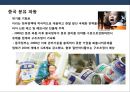 중국내수 기업의 발전 및 사례 분석.pptx 14페이지