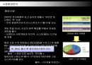 닌텐도(NINTENDO) 마케팅전략  6페이지