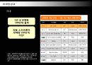 닌텐도(NINTENDO) 마케팅전략  26페이지