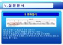 무료지의 광고효과 연구  31페이지