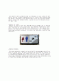 타이포그래피  15페이지