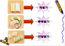 조리의 기초와 실제 (조리, 조리방법, 조리의특성, 교직수업계획안, 중학생대상수업계획서, 교수학습지도안).PPT자료 12페이지