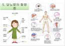 [스포츠의학, 운동처방관련학과] 당뇨병 (당뇨병 정의, 원인, 분류, 증상, 치료, 운동방법 등).pptx 21페이지