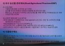 식품안전관리(식품안전관리의중요성, 식품안전관리조직, 식품안전관리제도, 식중독관리, 수입식품안전관리, 유전자재조합식품, 건강기능식품) PPT, 파워포인트 자료 8페이지