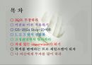 사회복지사가 갖춰야 할 자세와 비젼(사회복지사의복지마인드, 사회복지사소진예방, 사회복지사의자질, 사회복지사의태도) 2페이지
