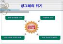 빙그레의 구조조정 12페이지