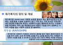 [지역사회복지론] 재가복지 봉사센터  9페이지