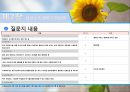 [지역사회복지론] 재가복지 봉사센터  23페이지