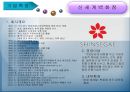 백화점 산업 조직 비교분석  6페이지